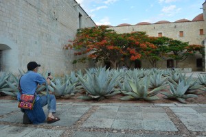 サボに反応する和田さん